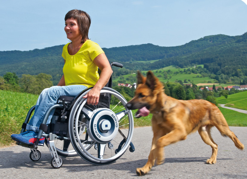 Motor de ayuda al usuario 'SERVO'
