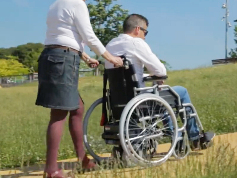 Motor ayuda para el acompañante S-DRIVE